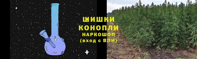 наркотики  Городовиковск  Каннабис семена 